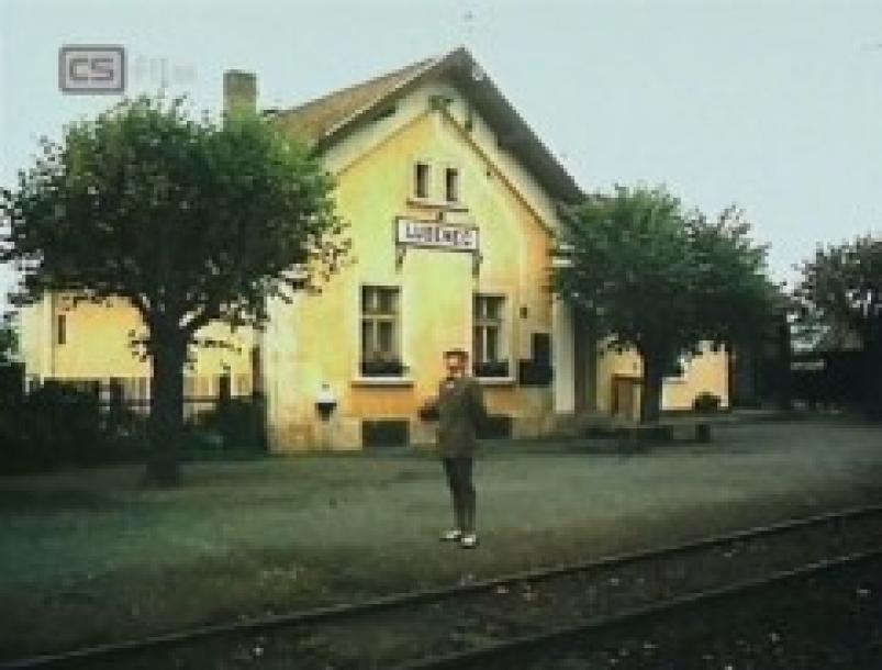 Osov